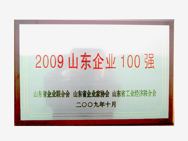 2009--山東企業100強